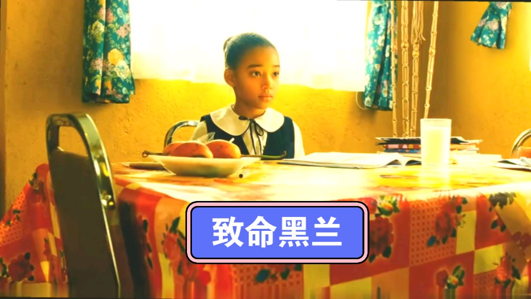 《致命黑兰》一个女孩儿成长杀手的过程