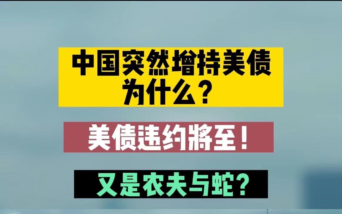 美债违约将至,中国为何还要增持美债?哔哩哔哩bilibili