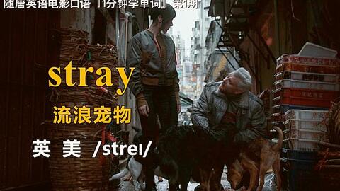 1分钟学单词第254期 Tummy 肚子 用1分钟 从1个电影片段 学1个英语 单词 本期单词片段源自电影 孤儿怨 哔哩哔哩 つロ干杯 Bilibili