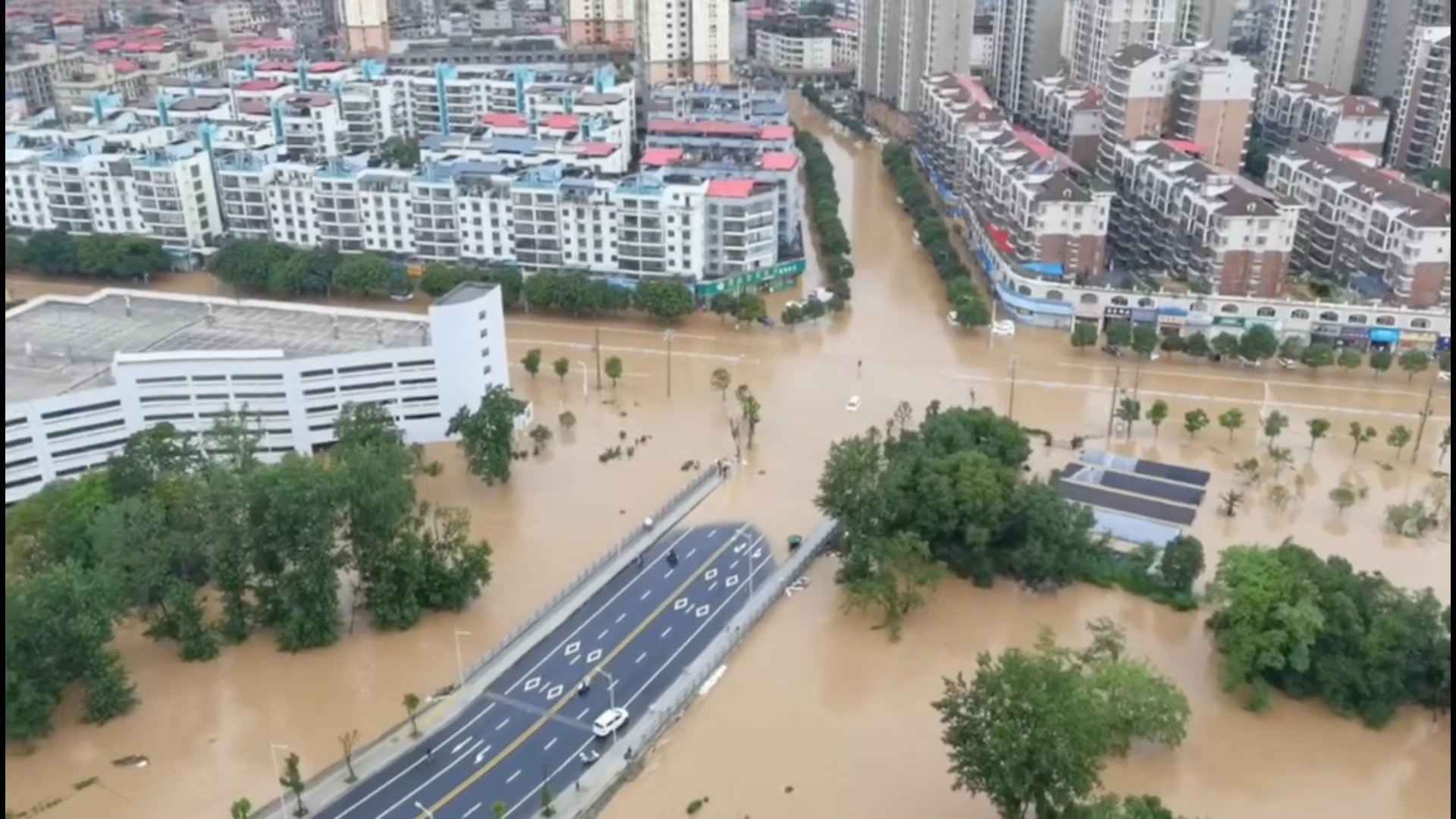 赣州地区瑞金市这几天大雨倾盆哔哩哔哩bilibili