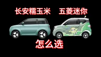 长安糯玉米和五菱宏光mini哪个好怎么选？