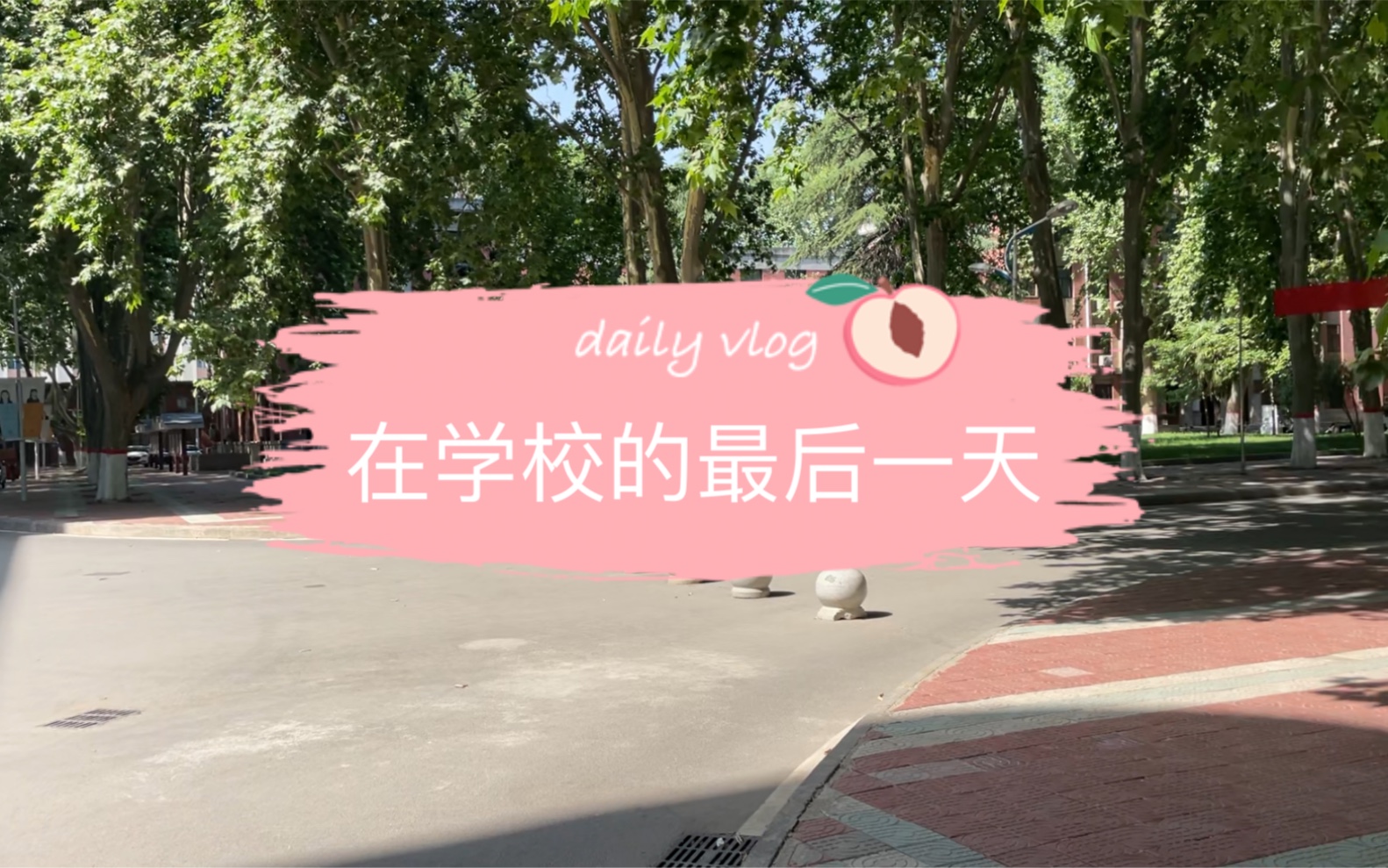 毕业留念郑州大学北校区哔哩哔哩bilibili