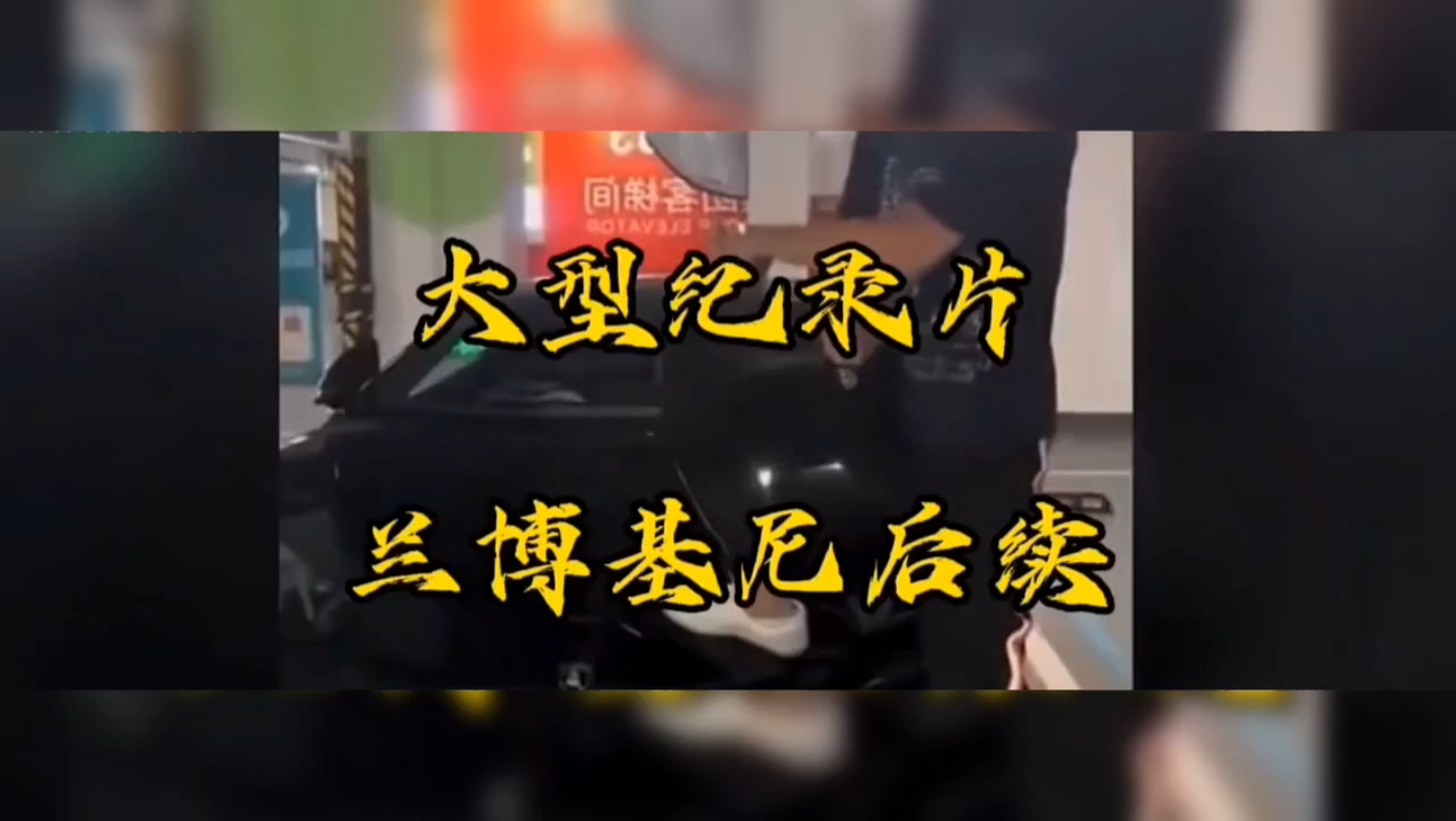 [图]大型玩梗传奇纪录片之兰博基尼后续