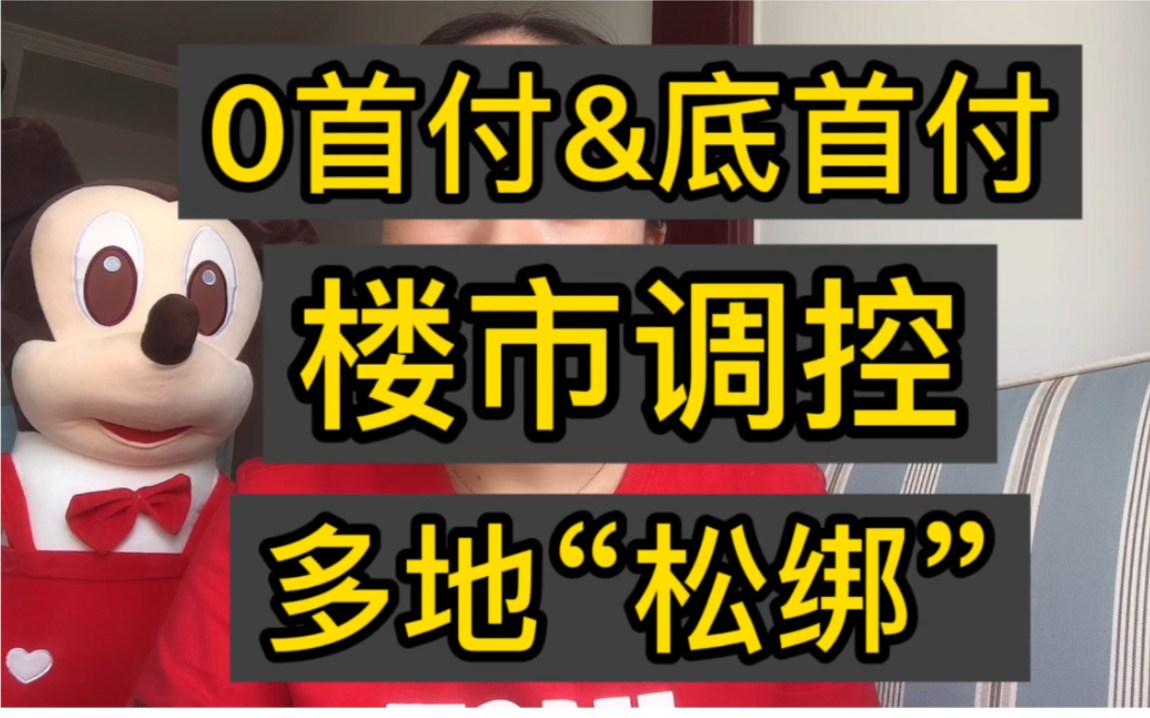 0首付和底首付购房的内幕是什么,这个视频为你揭晓!一起避坑哔哩哔哩bilibili