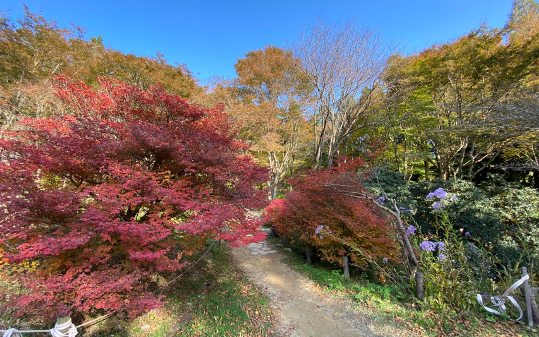 日本兵库县六甲山