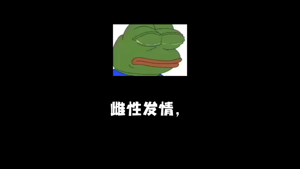 风马牛不相及,这句话的意思,可能是这样的.哔哩哔哩bilibili