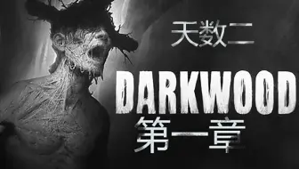 第三期  恐怖游戏《黑暗森林》 第一章 天数二     沉浸式实况