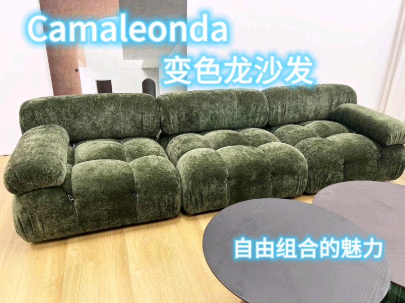 Camaleonda百变沙发组合哔哩哔哩bilibili