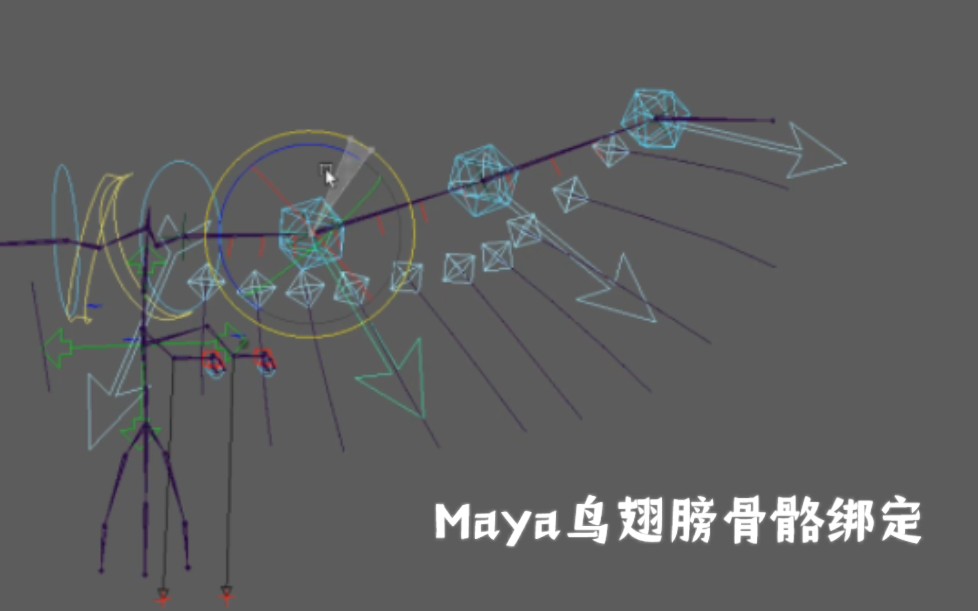 [图]Maya鸟翅膀羽毛简单联动骨骼绑定