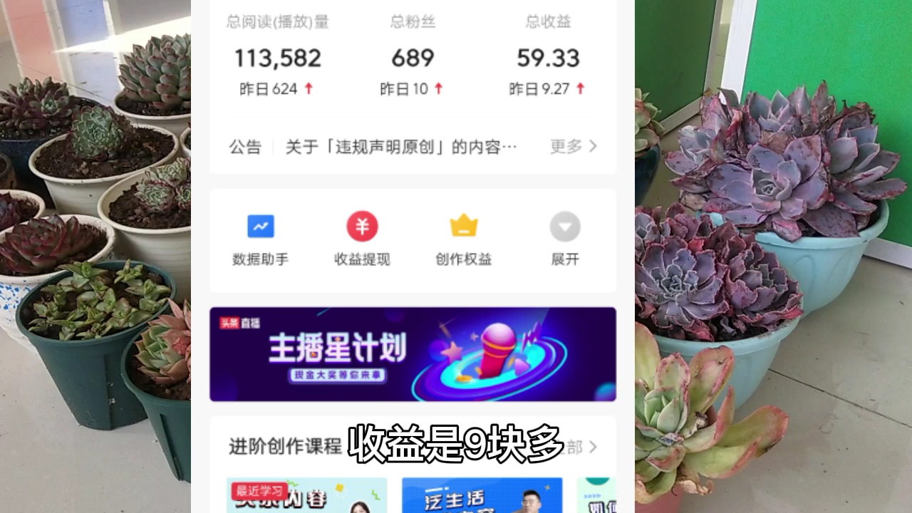 多肉领域自媒体一年收入7000+,分享一点心得体会哔哩哔哩bilibili