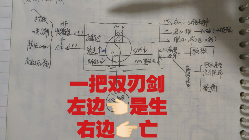 双刃剑——洋地黄增强收缩力抑制房室交界及传导像极了一把双刃剑左边𐟑ˆ𐟏𛦘倫Ÿ右边𐟑‰𐟏𛤺ᥓ”哩哔哩bilibili