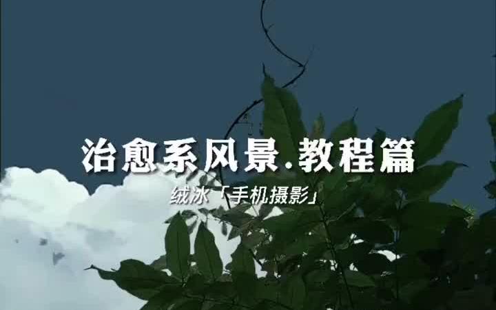 五秒教你制作治愈系风景视频.哔哩哔哩bilibili