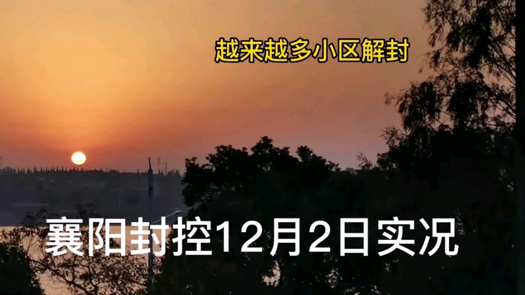 襄阳封控12月2日实况,越来越多小区解封哔哩哔哩bilibili