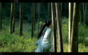 Download Video: 《花妖》或将拍成电影