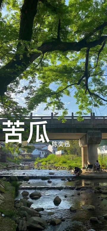 360_780竖版 竖屏