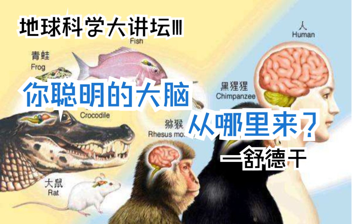 【地球科学大讲坛Ⅲ】你聪明的大脑从哪里来?—舒德干(2021.8.7)哔哩哔哩bilibili