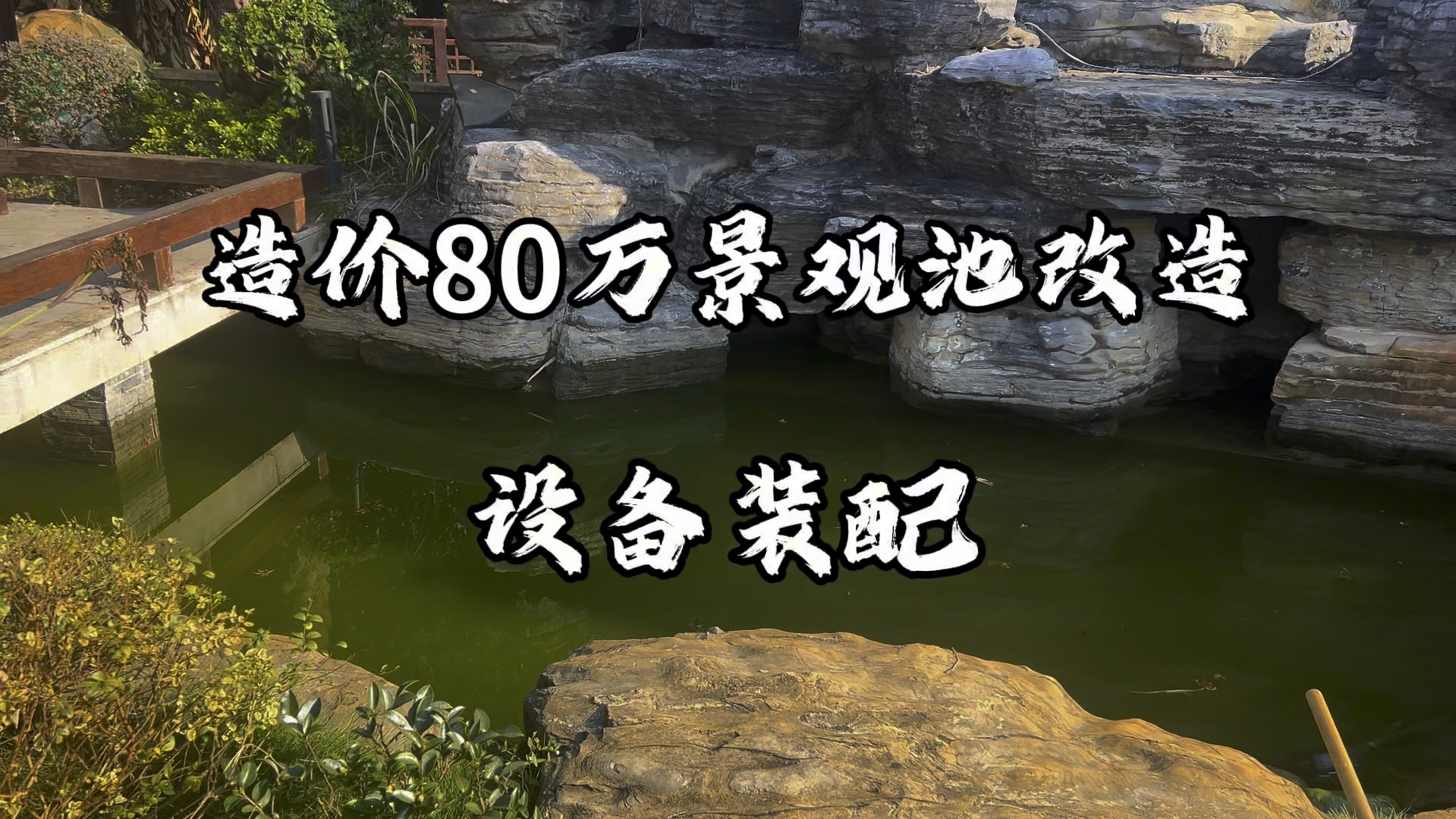 造价80万景观池改造锦鲤池第三集哔哩哔哩bilibili