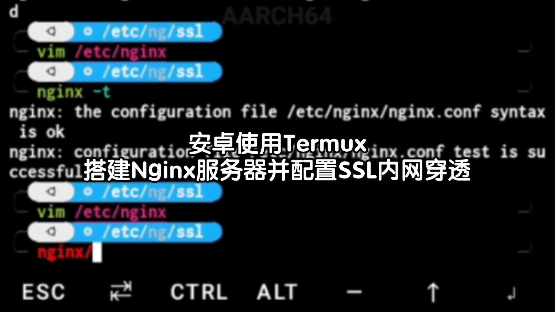 安卓使用Termux搭建Nginx服务器并配置SSL内网穿透哔哩哔哩bilibili