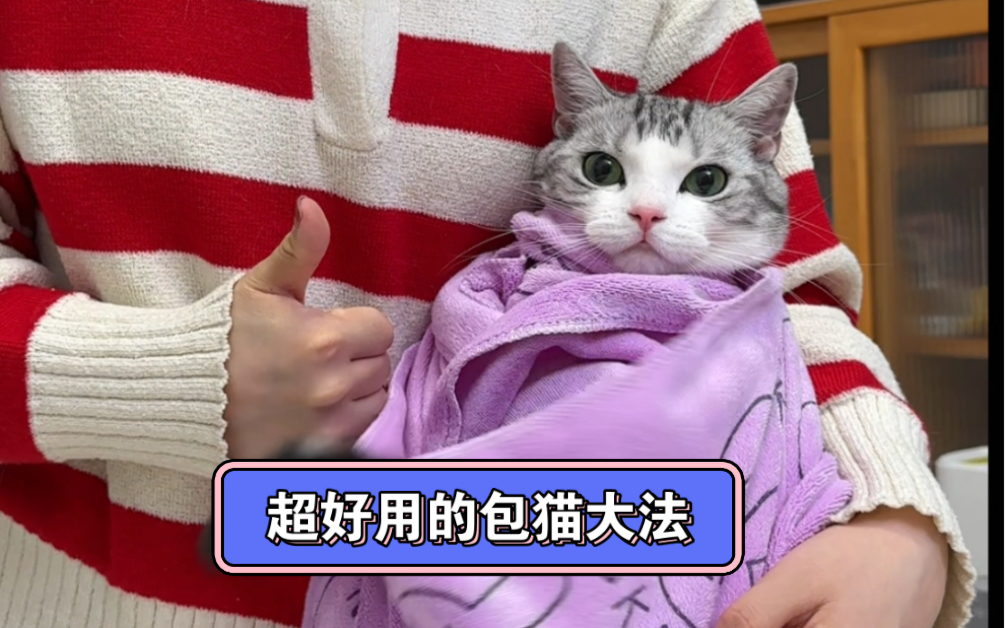 [图]家里猫不让洗耳朵 刷牙怎么办？贼好用的控猫方法，每个铲屎官必学技能！之前说家里猫很难控制的 这次已经优化啦 快去给猫咪试试！#新手养猫 #宠物知识