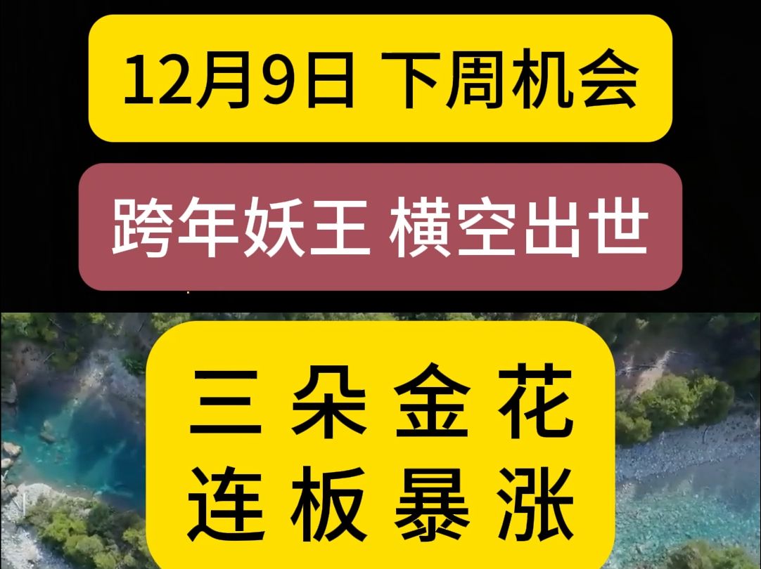 12月9日下周行情反转,大阳反攻,跨年主线,提前确定,一鸣惊人!哔哩哔哩bilibili