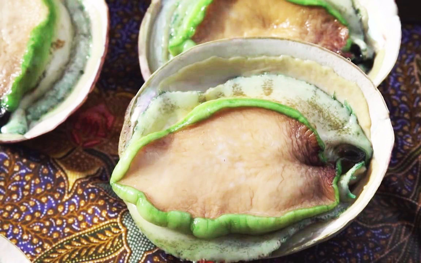 澳洲特产绿唇鲍,一身原谅色,老外爱做刺身生吃!