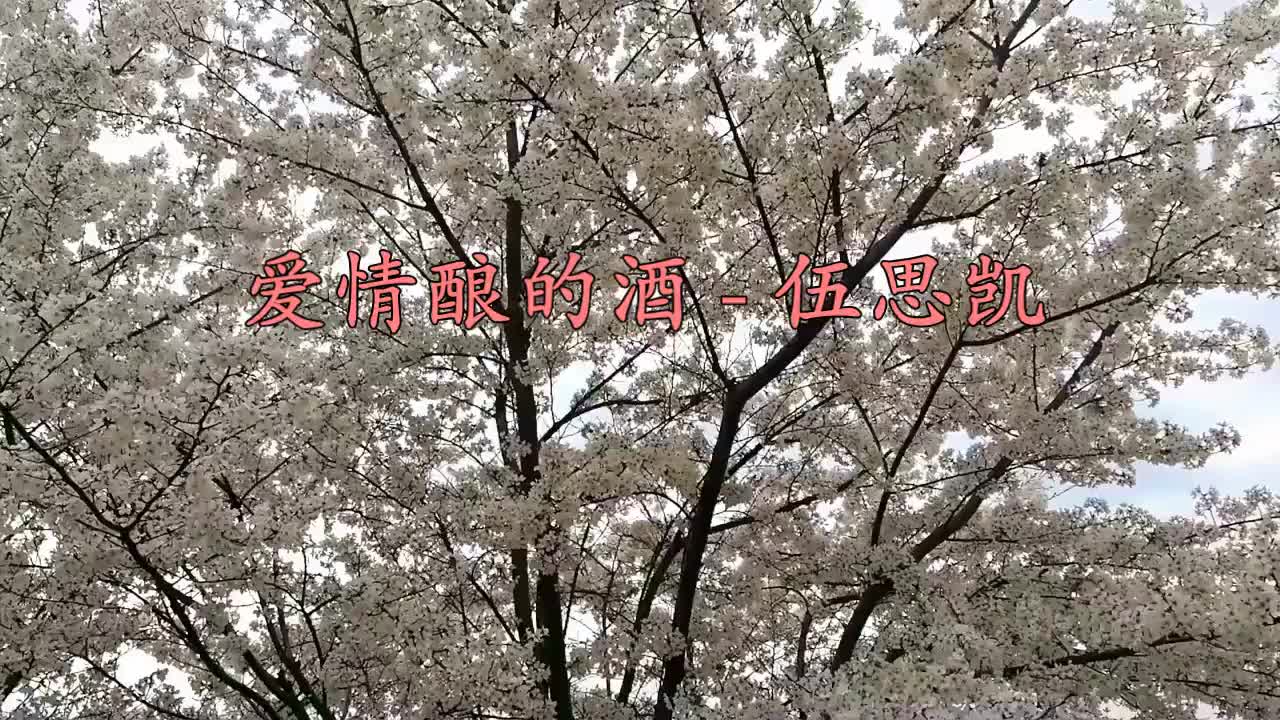 [图]伍思凯这首《爱情酿的酒》优雅磁性声音，令人陶醉