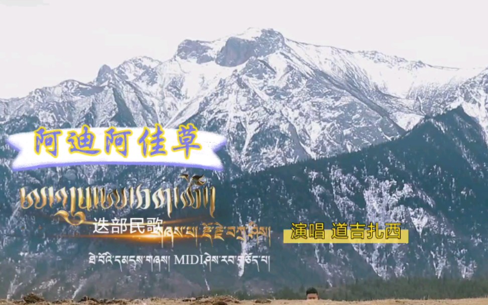 【阿迪阿佳草】道吉扎西丨mv