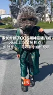 Download Video: 家长帮孩子COS黑神话猪八戒，漫展上成全场焦点：他很开心，有好多小姐姐投喂