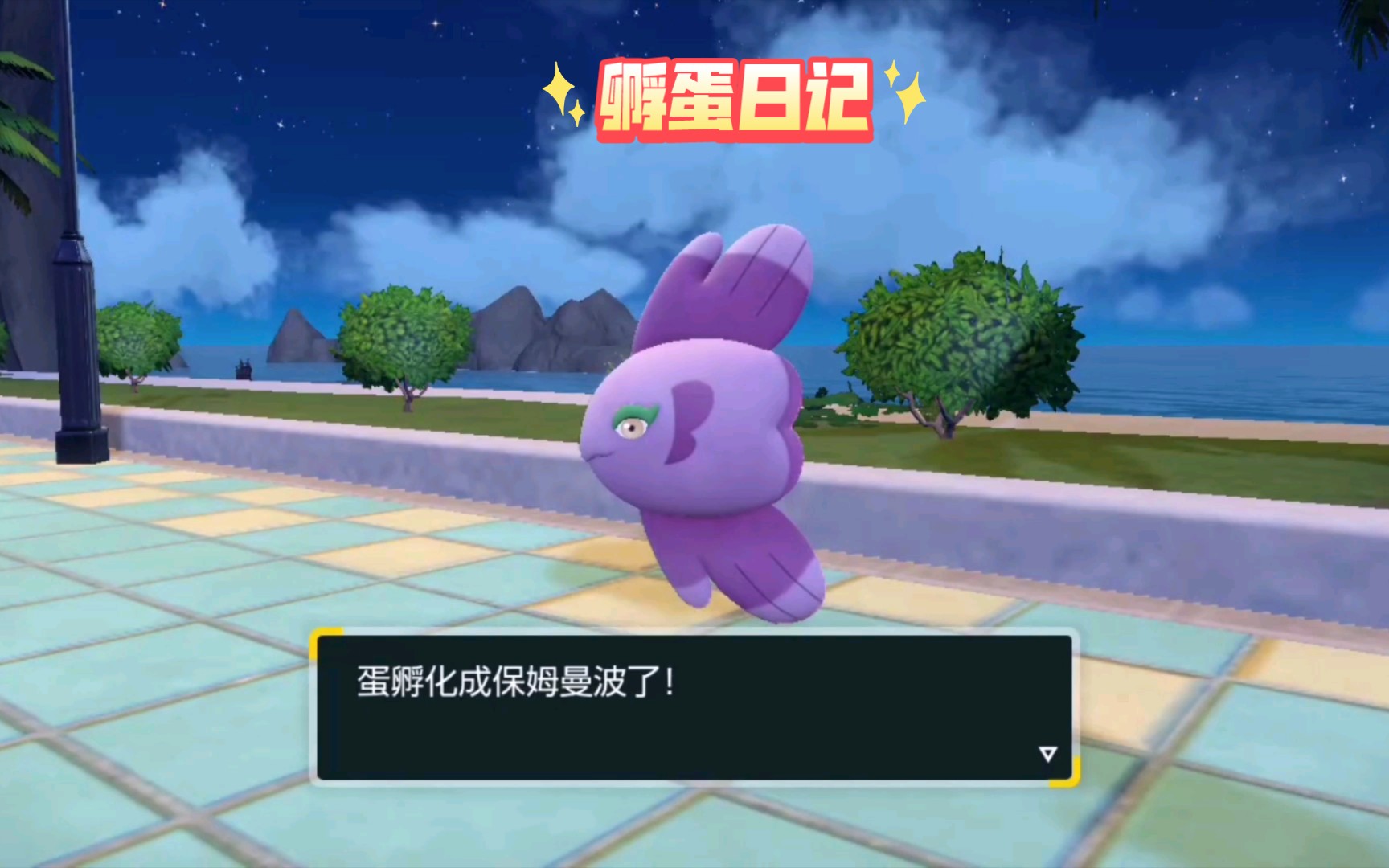 孵蛋日记——115 保姆曼波,有多少人曾以为这是爱心鱼的进化?
