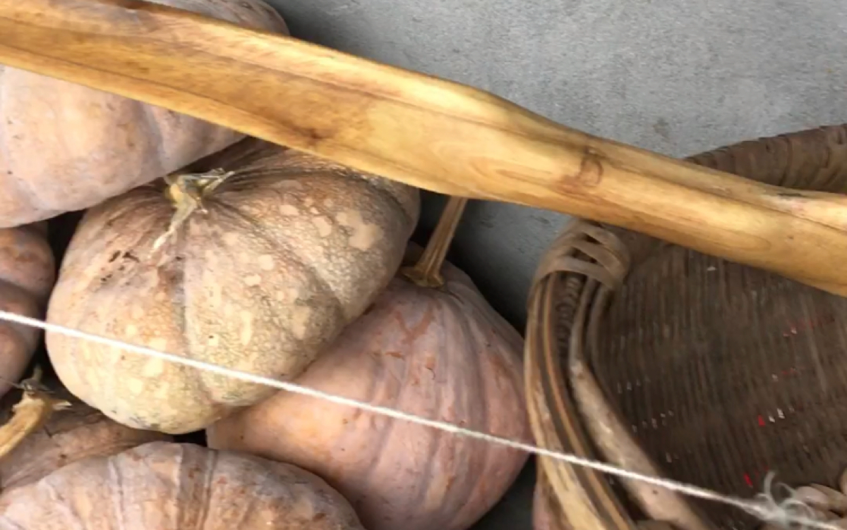 第一集亲手制作一把柘木单体木弓原创不易手工很累致敬弓匠精神