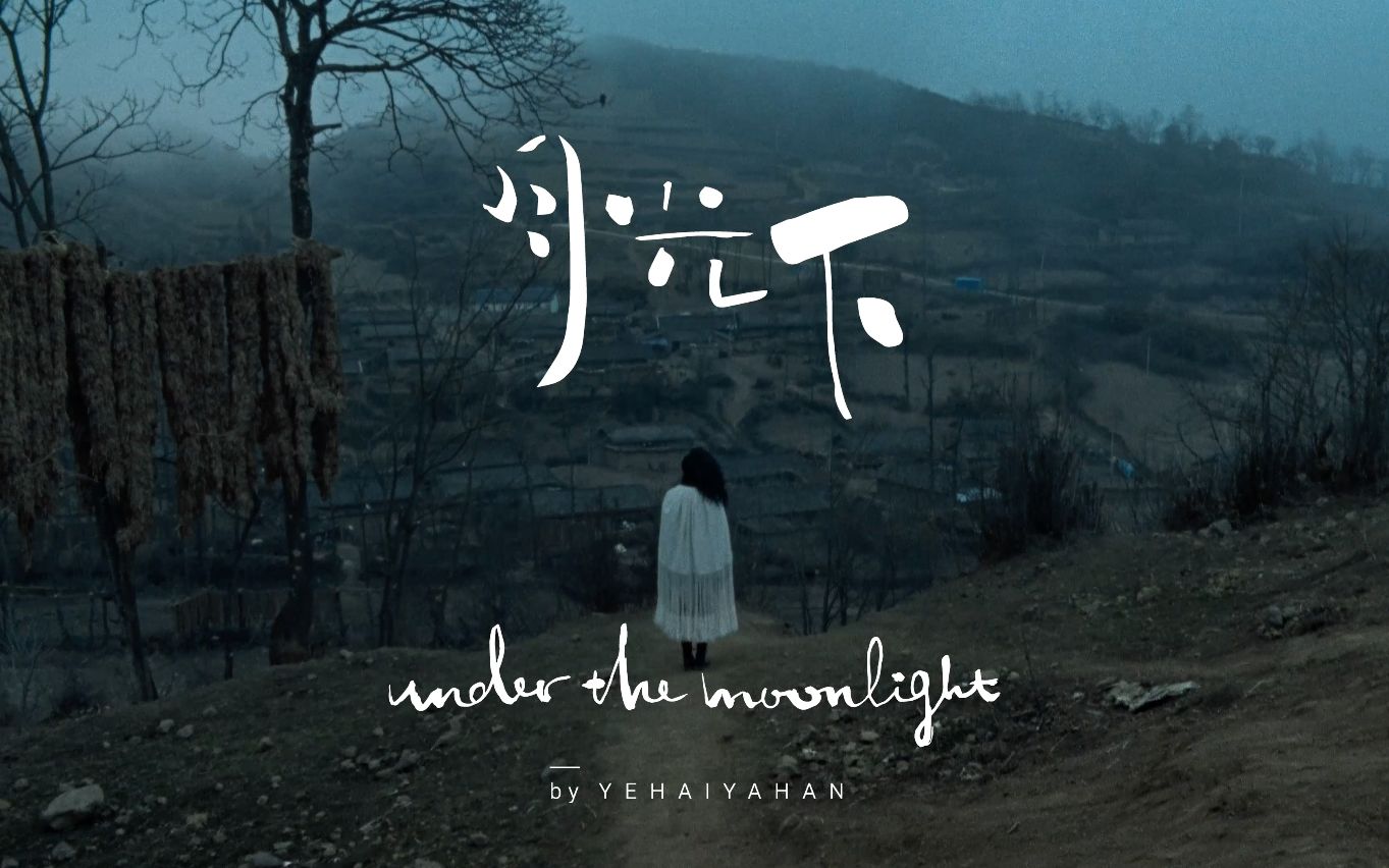 [图]< Under the Moonlight > - YEHAIYAHAN mv