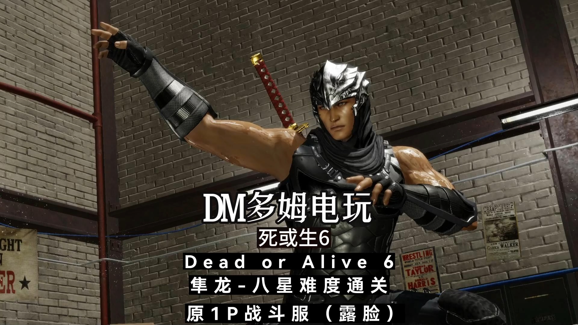 dm多姆电玩 死或生6 dead or alive 6 隼龙 八星难度通关 1p战斗服