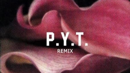 [图]抢先试听！陈冠希、马思唯合作单曲《P.Y.T.》REMIX版！