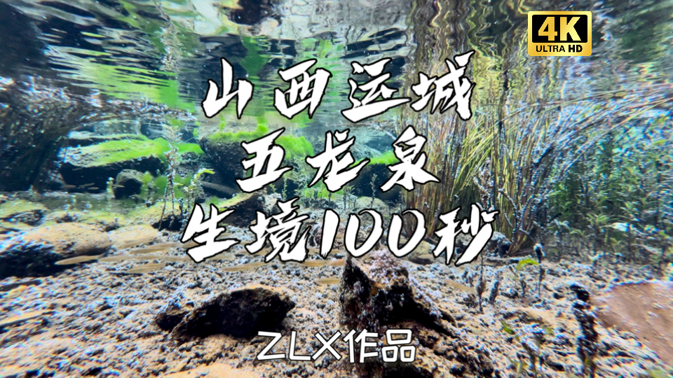 水下生境100秒|山西运城五龙泉 2 这颗隐匿在运城垣曲县的“宝藏生境”,以其独特的魅力令人心醉神迷哔哩哔哩bilibili