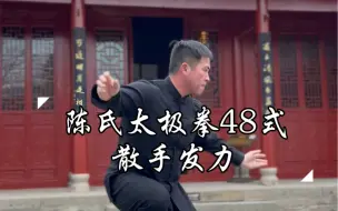 Скачать видео: 陈氏太极拳48式散手发力