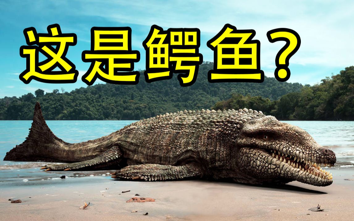 [图]为什么海里没有鳄鱼？ 史前鳄鱼下海失败了吗？【恐龙时代】 #伪鳄类篇02