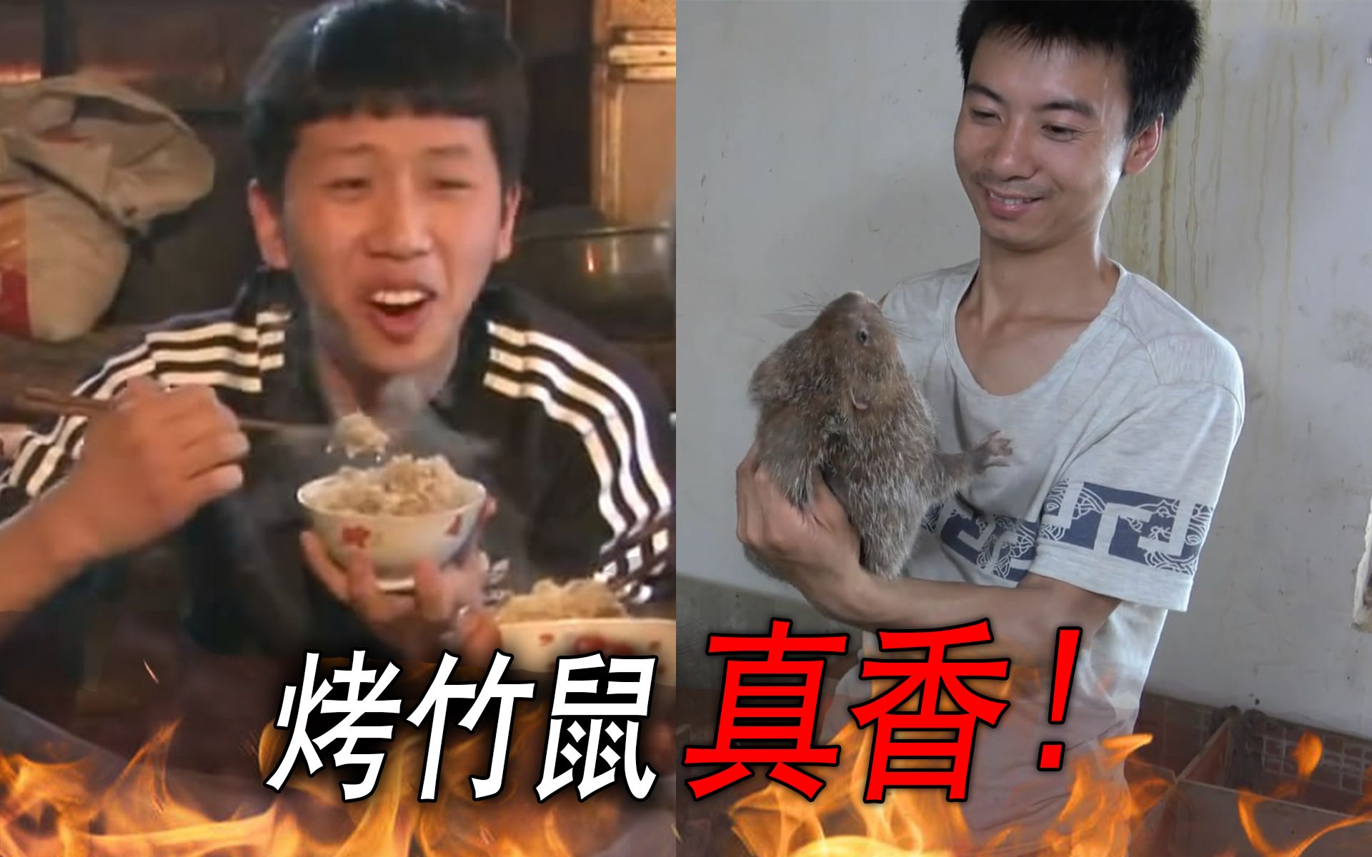 王境泽华农兄弟饿死也不吃你的烤竹鼠