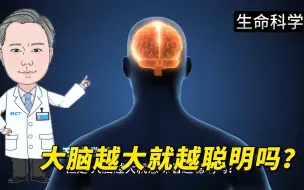 Descargar video: 大脑越大就越聪明吗？