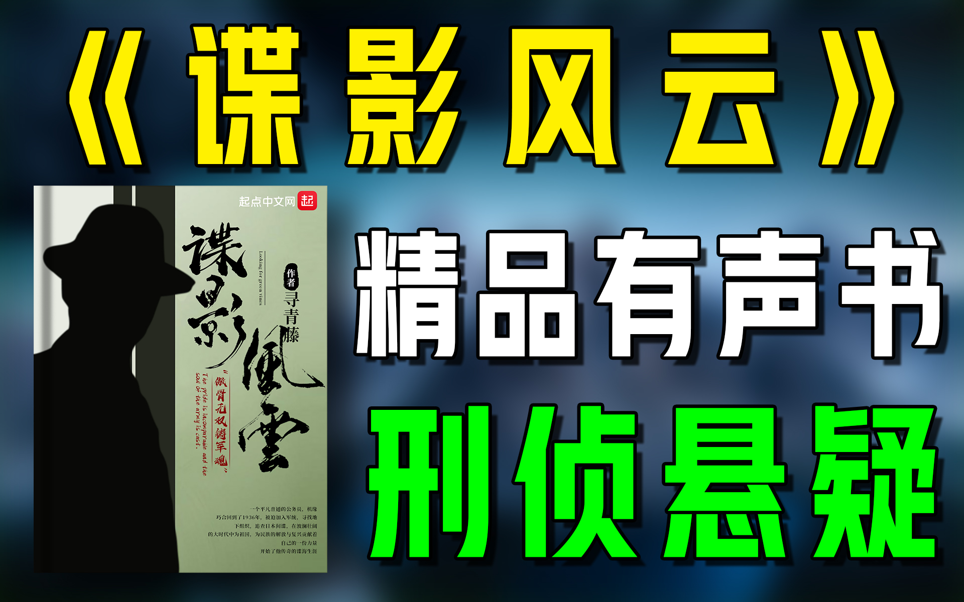 精品有声书《谍影风云》全集|超爽有声书|一次性看个够|听书|有声小说|有声读物哔哩哔哩bilibili