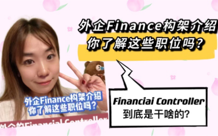 外企Finance构架你了解这些职位吗?哔哩哔哩bilibili