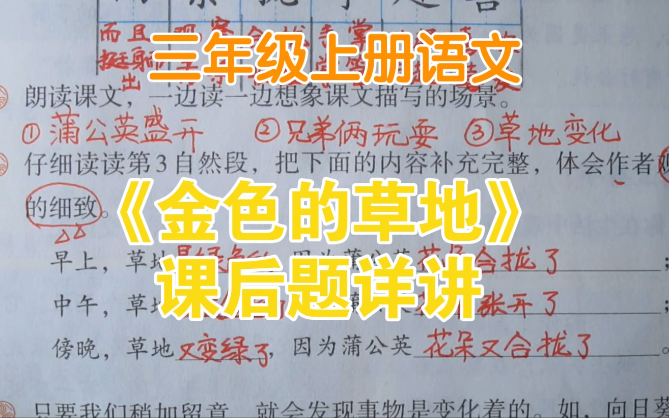 三上语文《金色的草地》课后题讲解,向日葵和含羞草的秘密你知道吗?哔哩哔哩bilibili