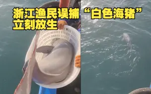 Download Video: 浙江渔民误捕“白色海猪”立刻放生