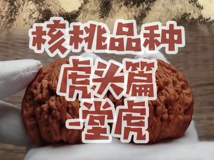 没它兄弟麦虎名气大