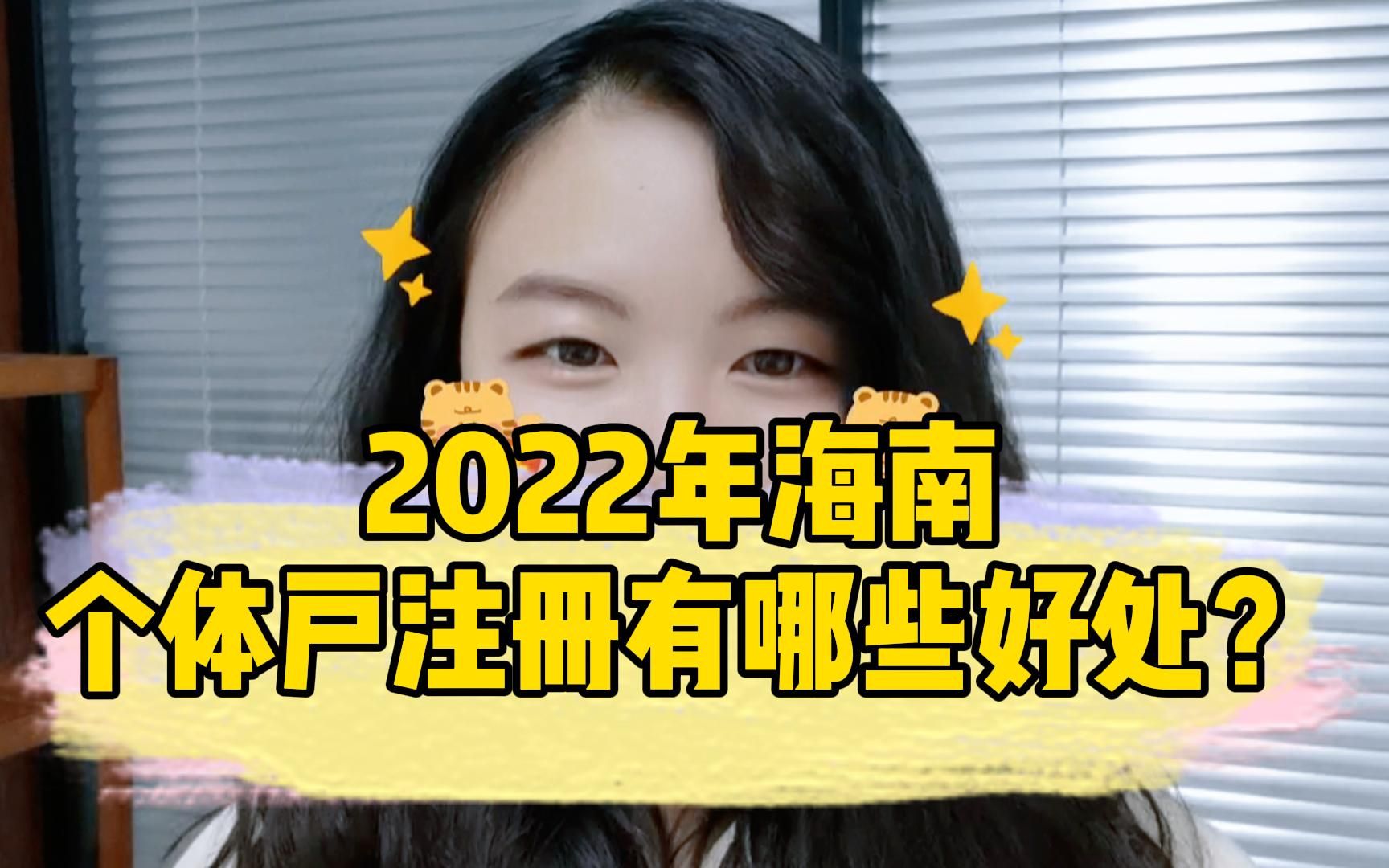 2022年注册海南个体工商户有哪些好处?哔哩哔哩bilibili