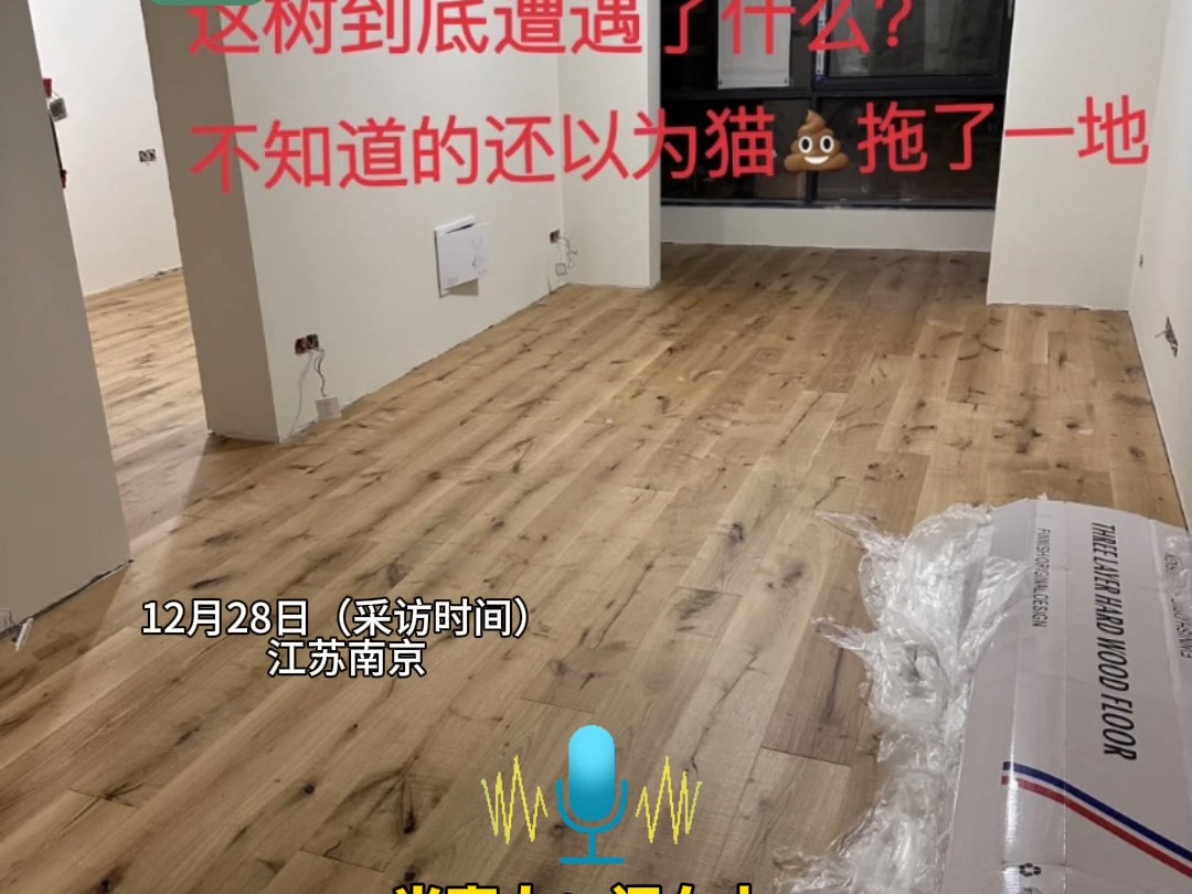 翻车了?330元一平的木地板满是疤结 “铺完简直天塌了 像大便抹匀了 ” 商家:没有欺诈 本人确认后才铺装(青岛新闻网/浪涨视频记者 吴阳)哔哩哔哩...