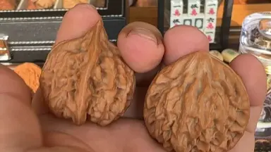 龙门涧核桃-哔哩哔哩_Bilibili