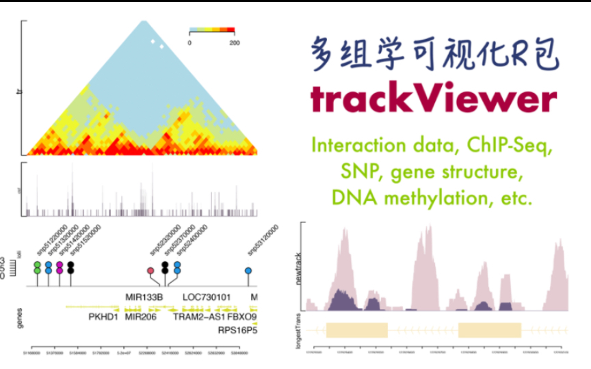 [图]多组学数据可视化R包 trackViewer 实践