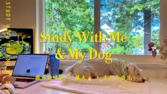 Download Video: 【4K高清】Study With Me·清晨7点☀️2小时狗狗伴学 | 原声白噪音·篝火白噪音·吉卜力音乐