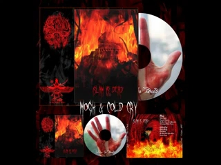 【二补】伊朗反伊斯兰教/拜火教复兴主义黑金属拼盘Mogh&Cold CryIslam Is Dead(2012)哔哩哔哩bilibili