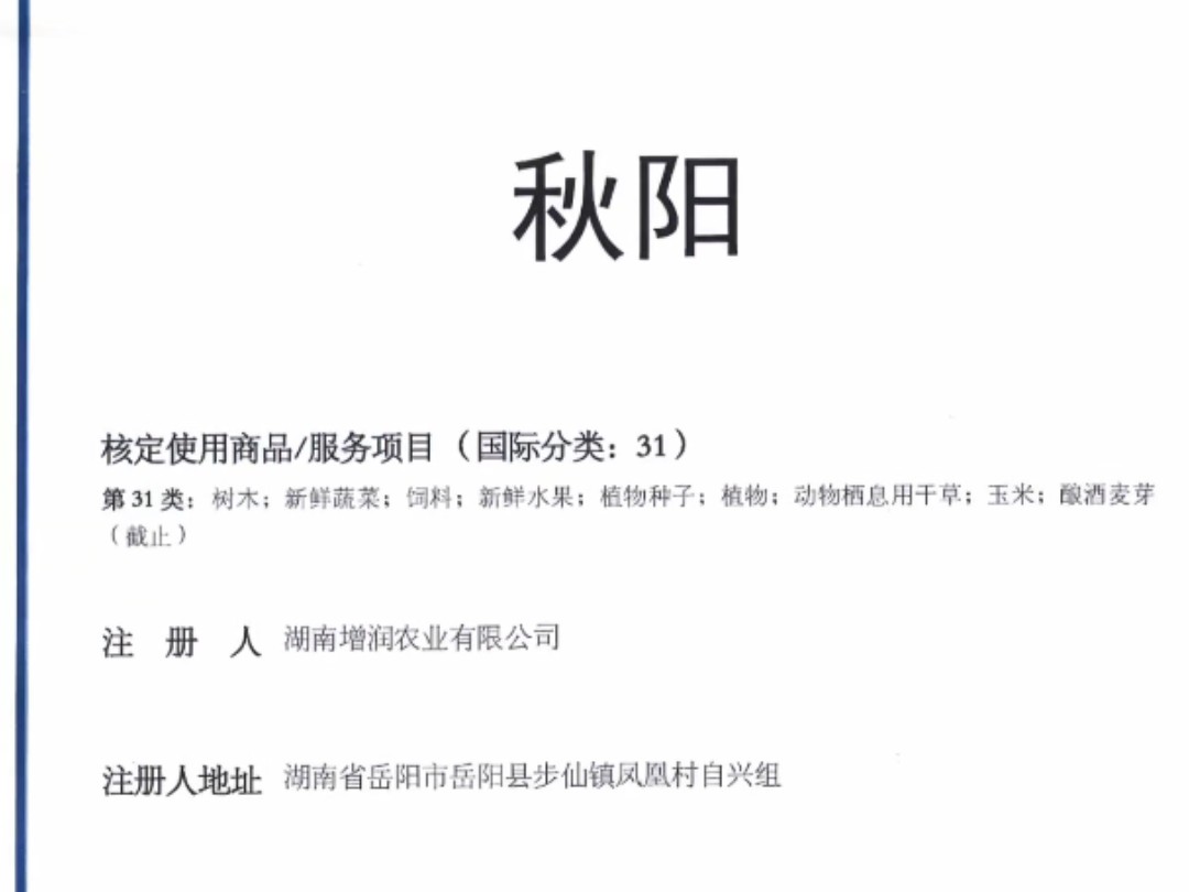 31类秋阳,30类先康,299元起拍阿里拍卖平台火爆开拍中#阿里拍卖#淘宝拍卖#标庄商标哔哩哔哩bilibili